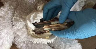 Rikollisjengit salakuljettavat huumeita Ruotsista Suomeen jättivoittojen toivossa  – hinta jopa viisinkertainen lahden tällä puolen